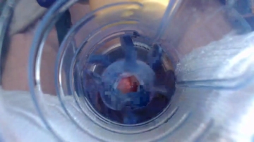 Jeffrodgerschaturbat  19-11-2021 video booty